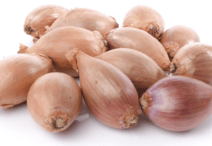 Scalogno (all'etto)